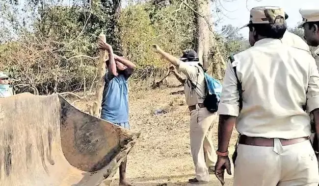 అటవీ సిబ్బందిపై దాడి.. ఇద్దరికి గాయాలు