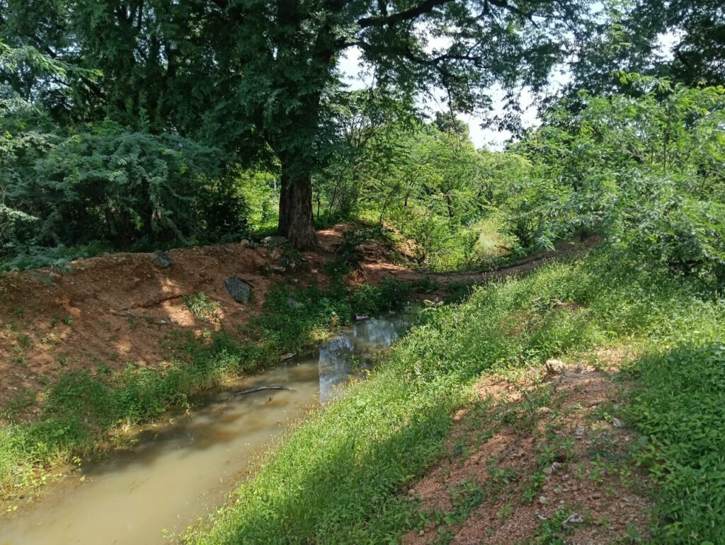 ఎస్సారెస్పీ కాలవలు కనుమరుగు..