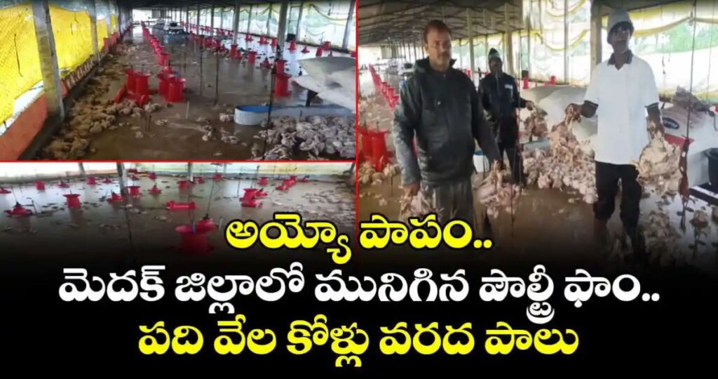 నీట మునిగిన పౌల్ట్రీ ఫాం.. పది వేల కోళ్లు వరద పాలు