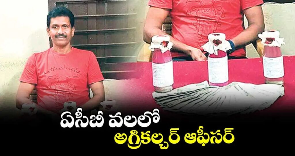 ‘లంచం తీసుకుంటూ ఏసీబీ అధికారులకు పట్టుబడ్డ AO’