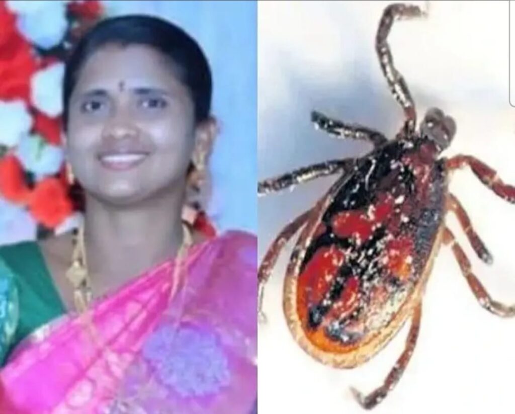 ఏపీలో కొత్త పురుగు వ్యాధి కలకలం…