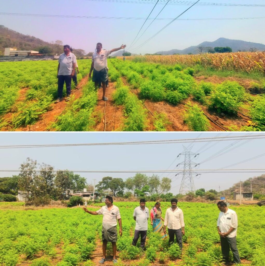 మృత్యుపాశాల్లా వేలాడుతున్న 11 కేవీ తీగలు