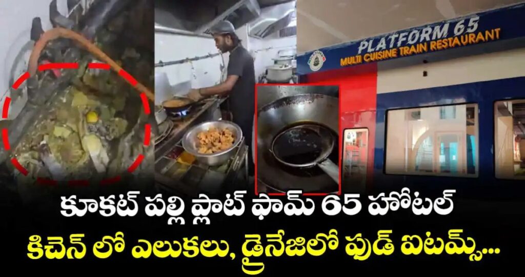 ప్లాట్ ఫామ్ 65 హోటల్ కిచెన్ లో ఎలుకలు, డ్రైనేజిలో ఫుడ్ ఐటమ్స్…